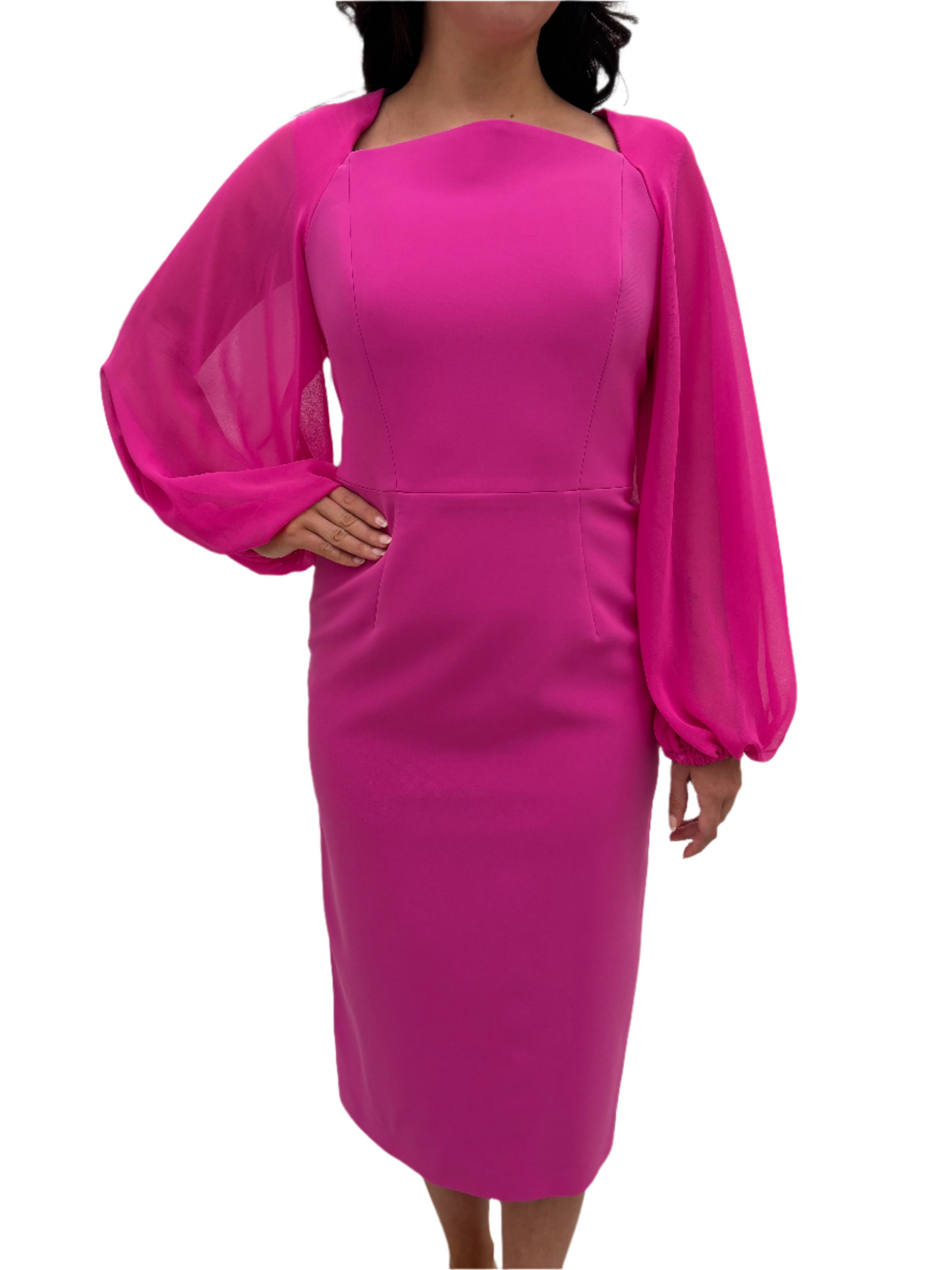 Chiffon Sleeves Dress - Rosa
