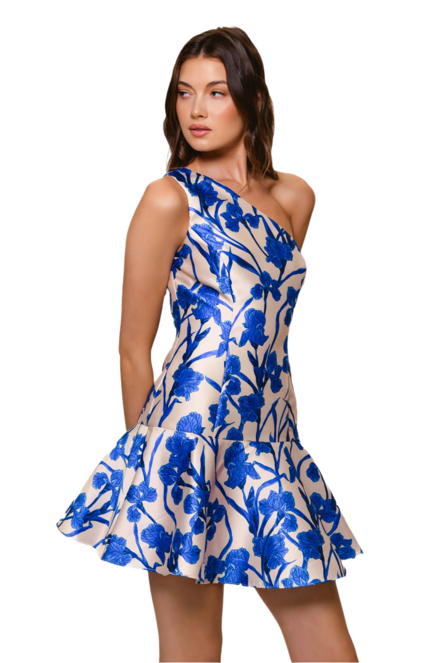 Silas Mini Dress - Cobalt Vining Orchids