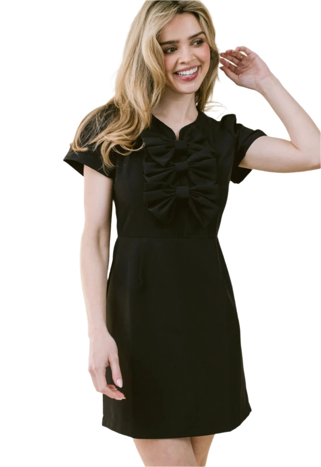 LR Bennett Dress Black