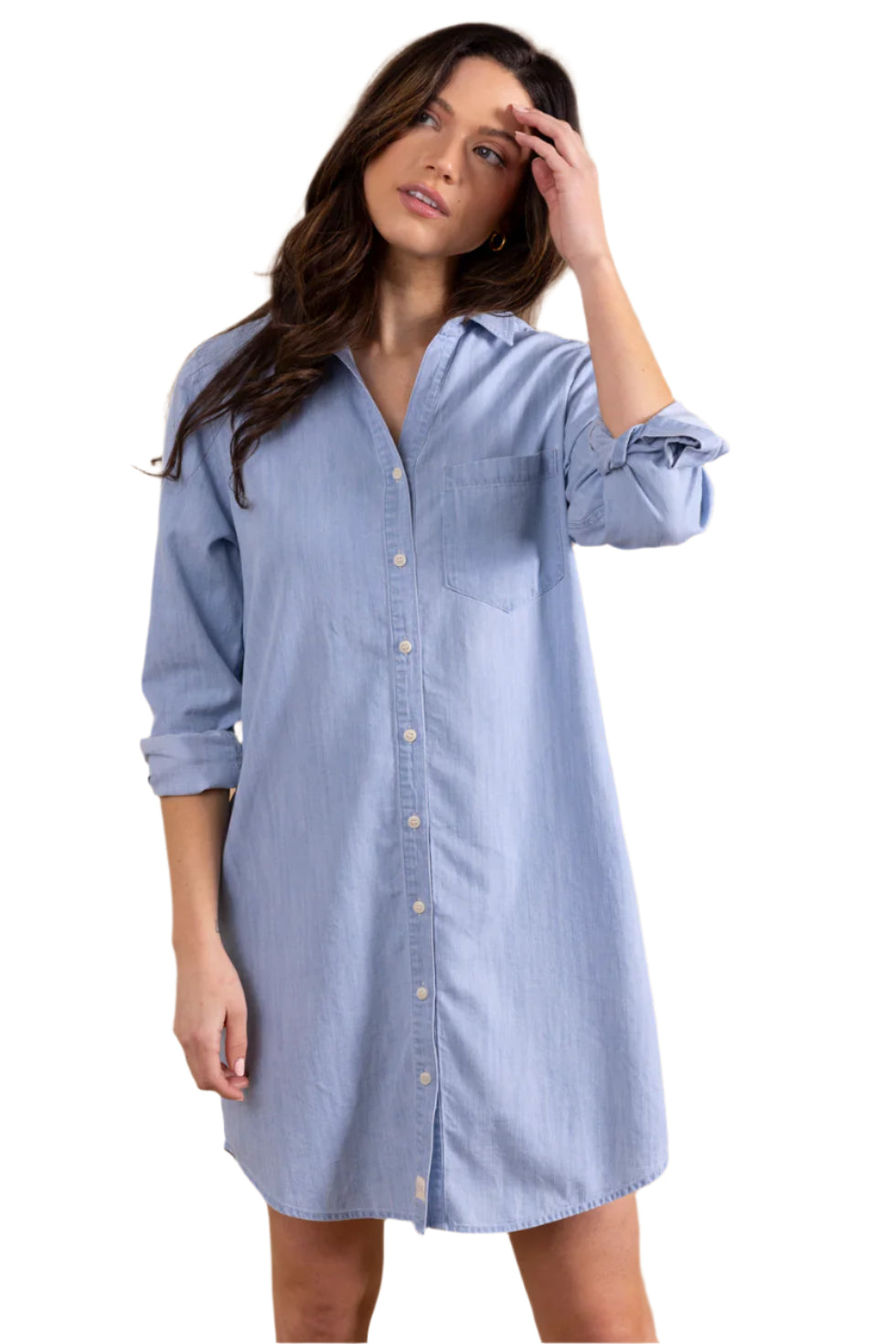 Wilmington Dress - Denim