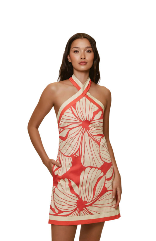 Baker Dress