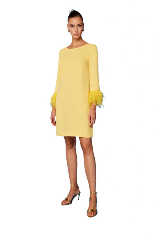 Women's Straight Dress with Feathers