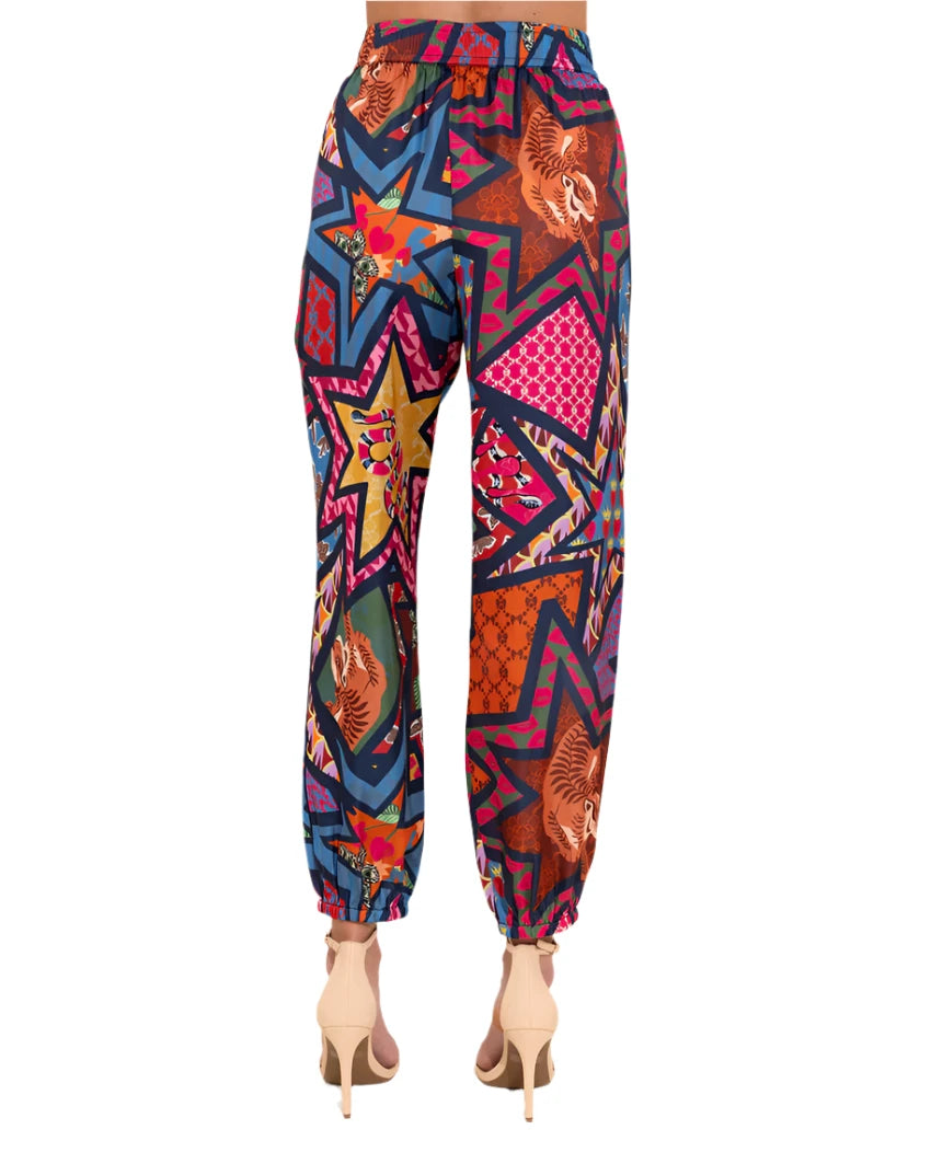 AA Elton Pant Star Power